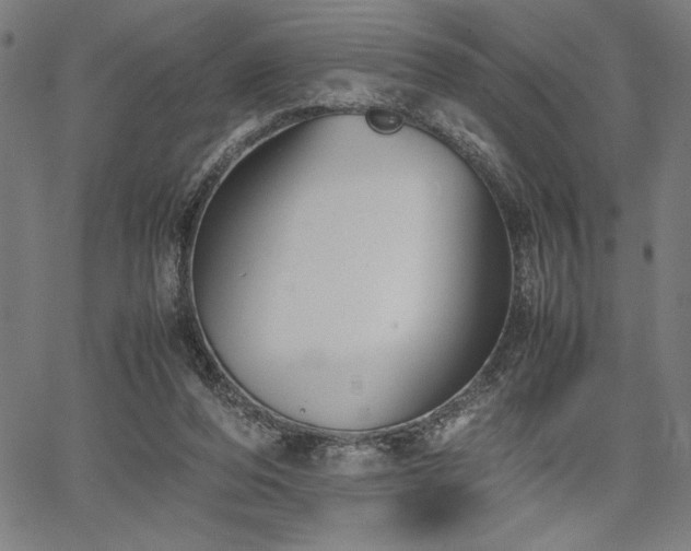 X0000067910208200604131352