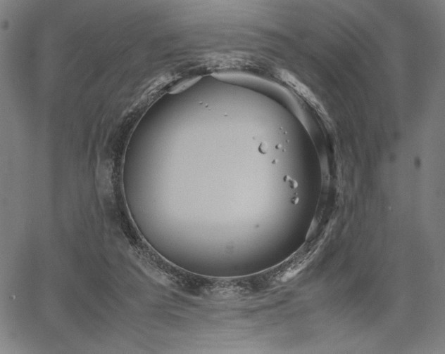 X0000067910209200604131352