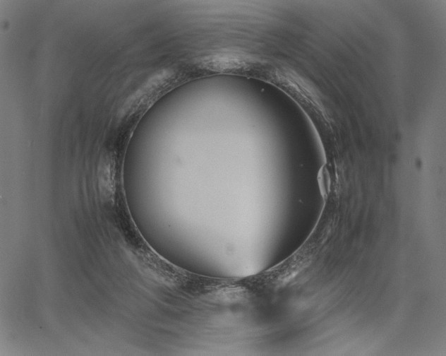 X0000067910210200604131352