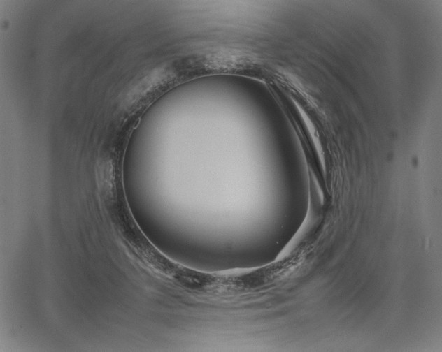 X0000067910211200604131351