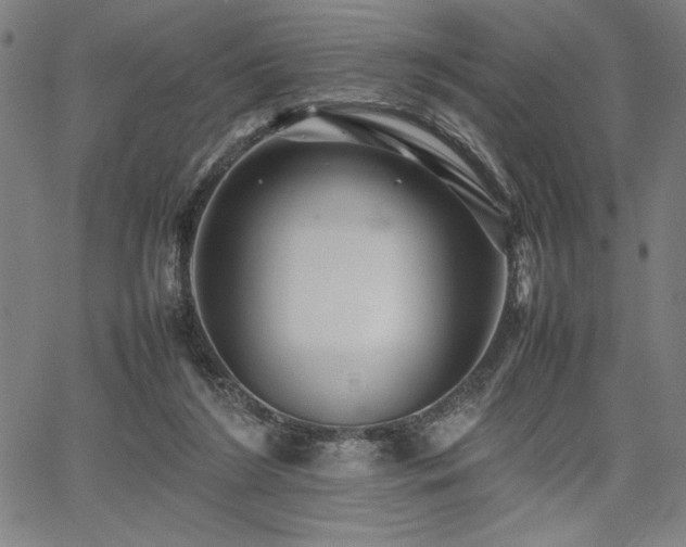 X0000067910212200604131351