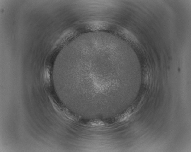 X0000067910214200604131351