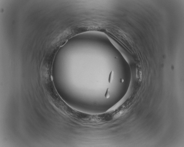 X0000067910215200604131351