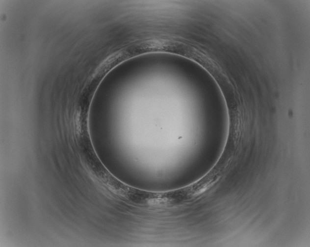 X0000067910216200604131351