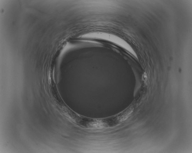 X0000067910219200604131351