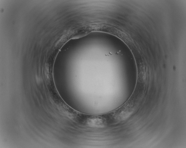 X0000067910220200604131351