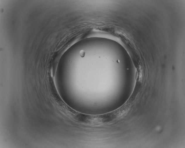 X0000067910221200604131351