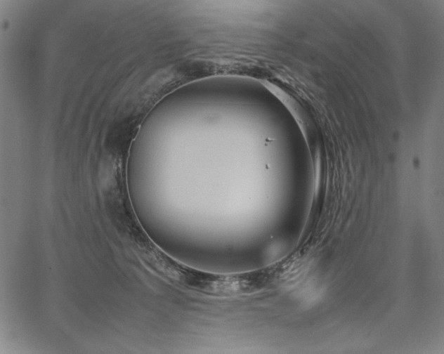 X0000067910225200604131351