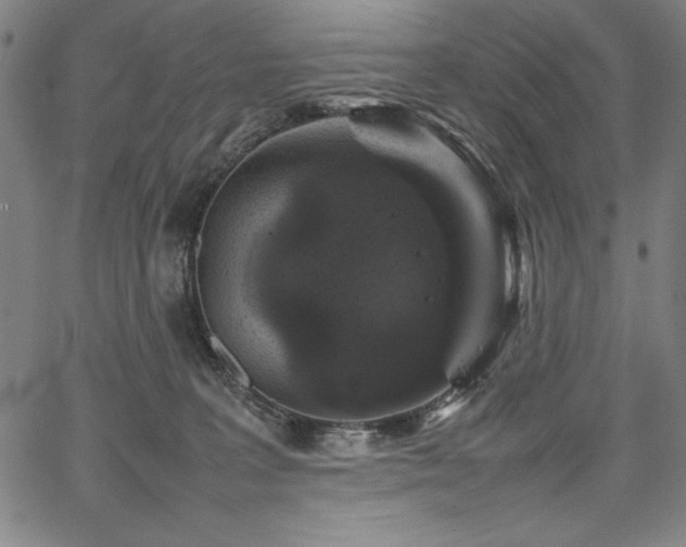 X0000067910227200604131351