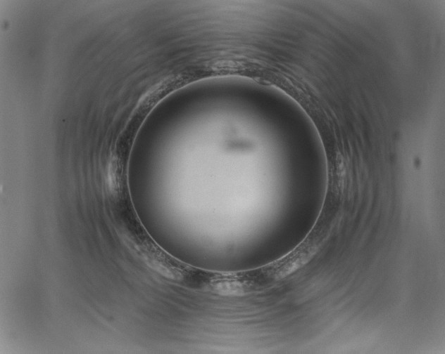 X0000067910228200604131351