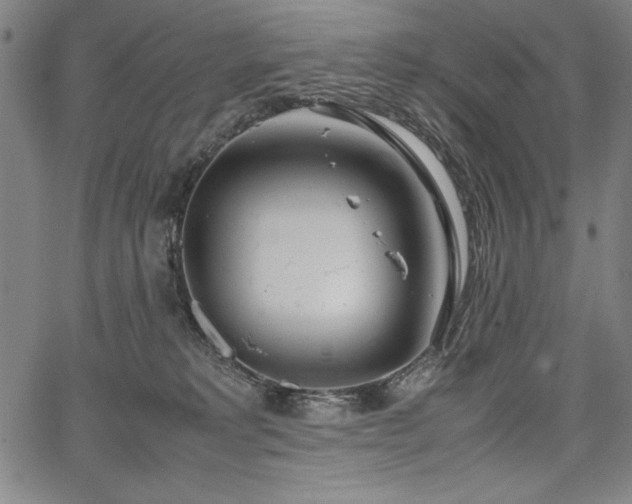 X0000067910229200604131351