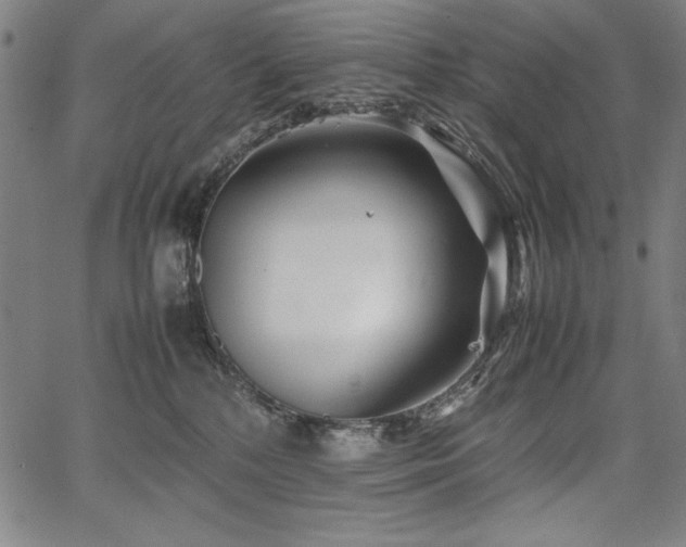 X0000067910232200604131351