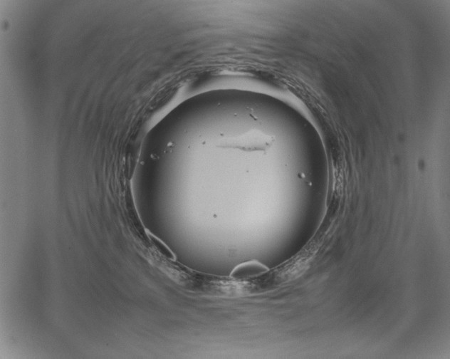 X0000067910233200604131351