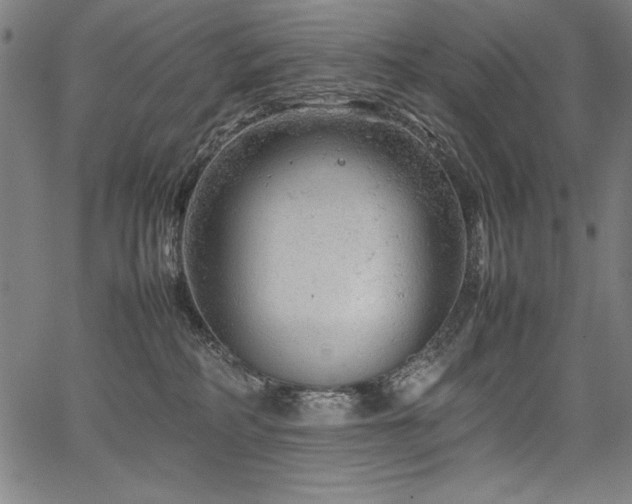 X0000067910234200604131351