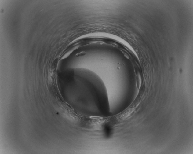 X0000067910235200604131351