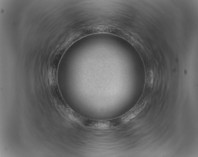 X0000067910236200604131351