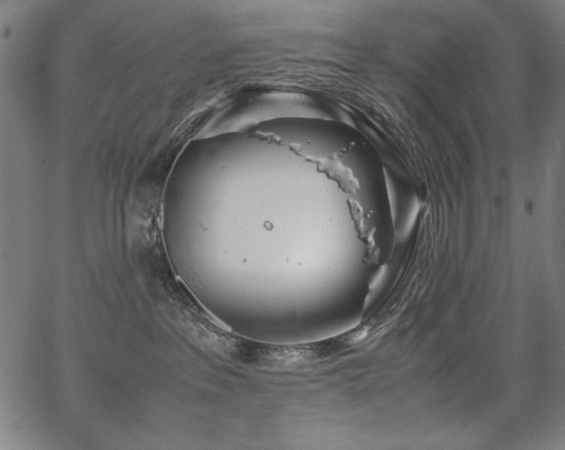 X0000067910237200604131351