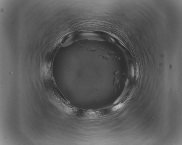 X0000067910239200604131351