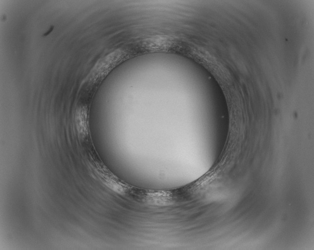 X0000067910240200604131351