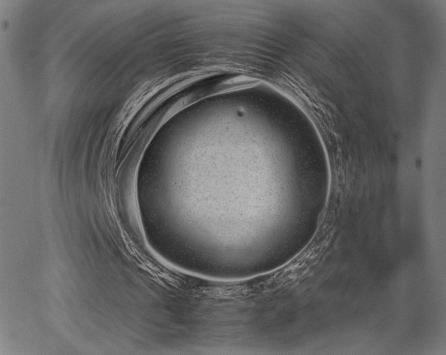 X0000067910241200604131350