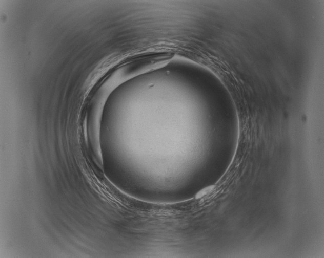 X0000067910242200604131350