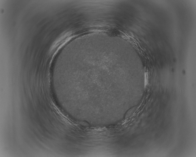 X0000067910243200604131350