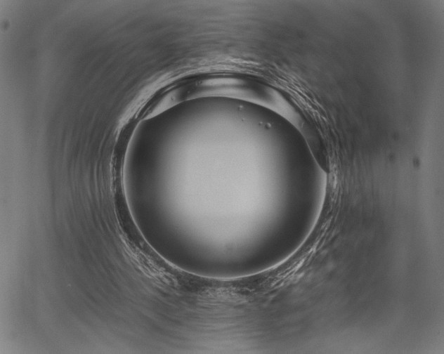 X0000067910244200604131350