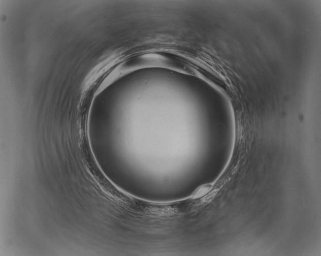 X0000067910245200604131350