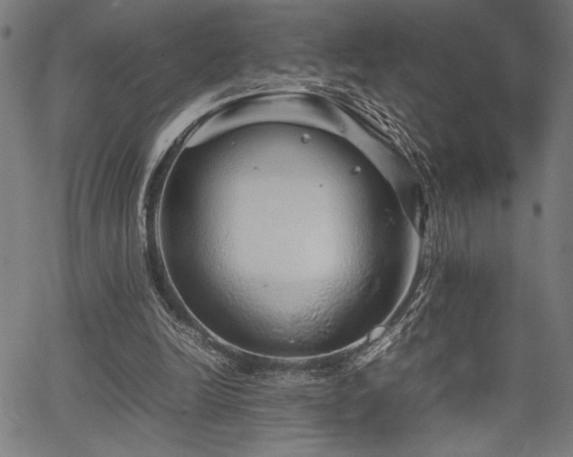 X0000067910246200604131350