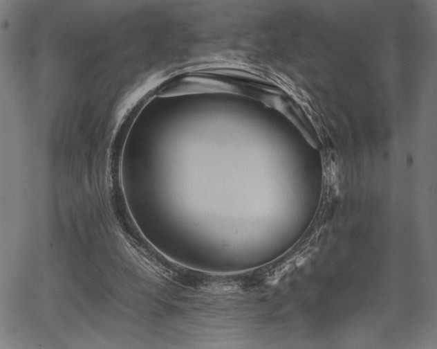 X0000067910248200604131350