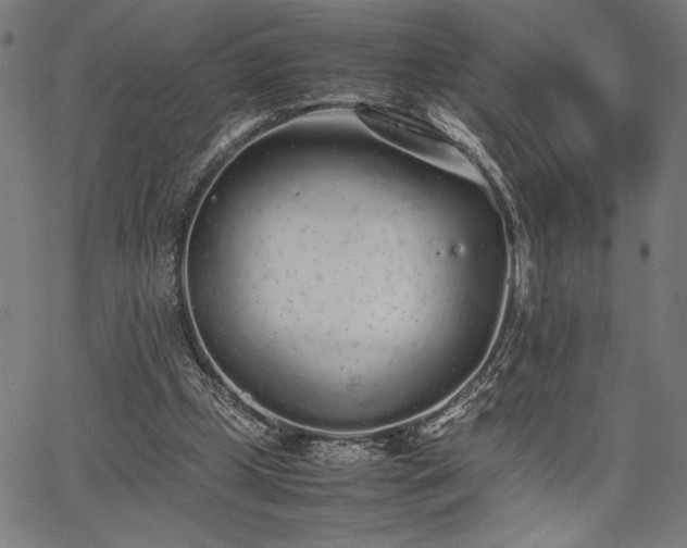 X0000067910249200604131350