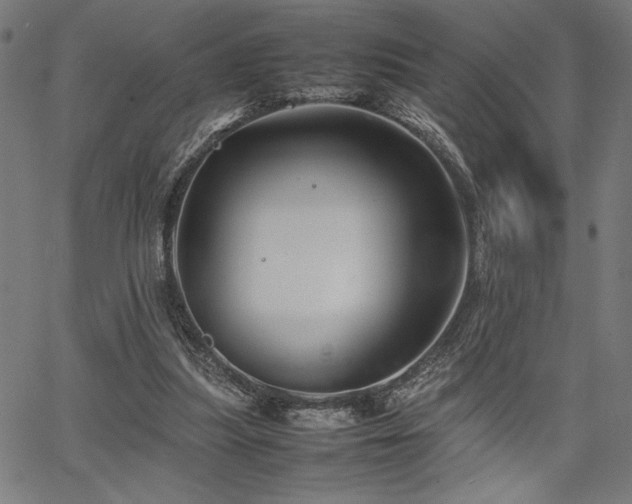 X0000067910251200604131350