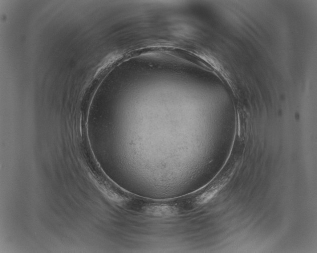 X0000067910253200604131350