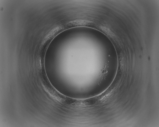 X0000067910254200604131350