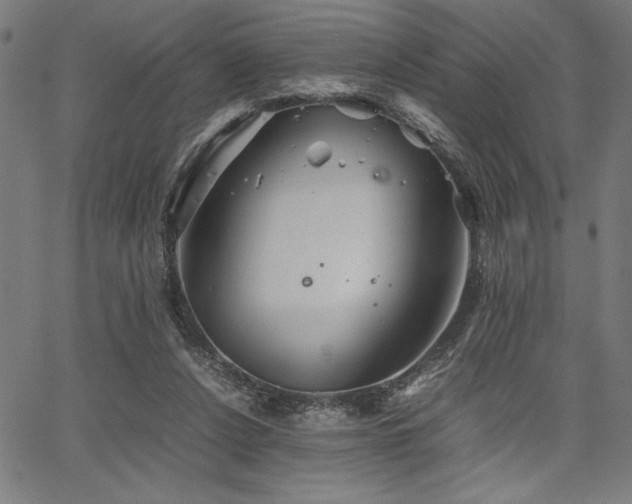 X0000067910256200604131350