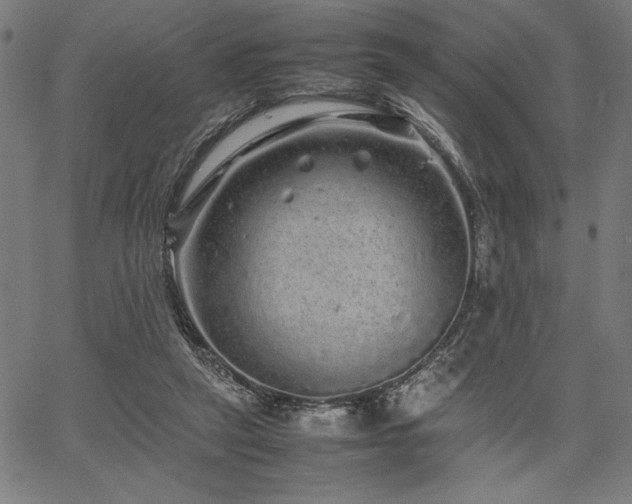 X0000067910257200604131350