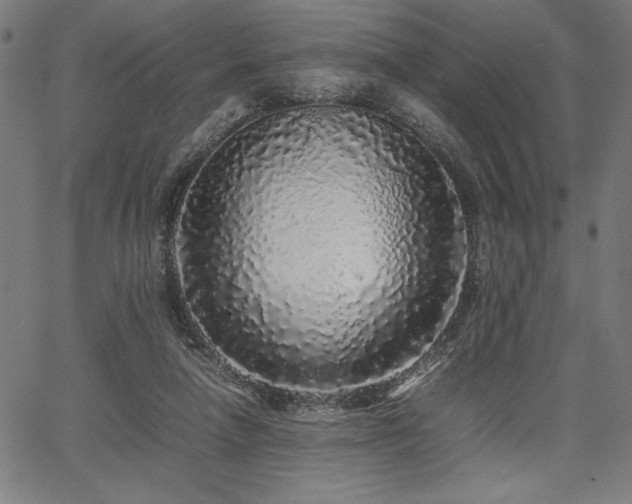 X0000067910258200604131351