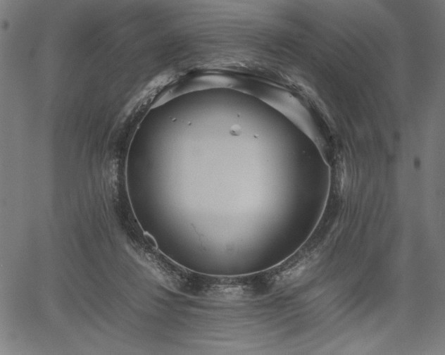 X0000067910260200604131351