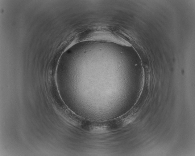 X0000067910263200604131351