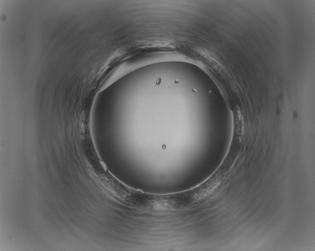 X0000067910264200604131351