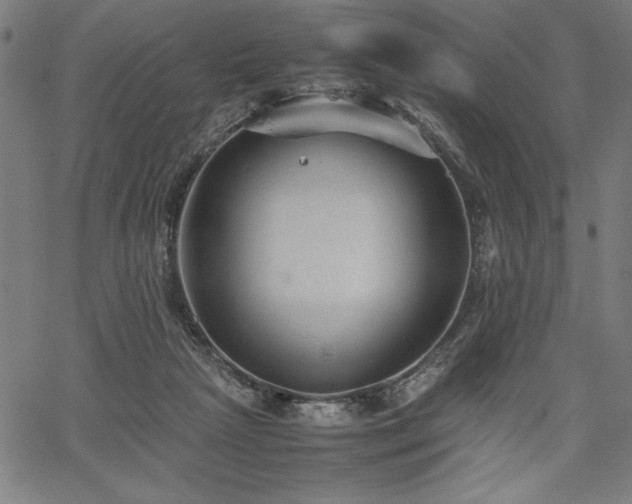 X0000067910265200604131351