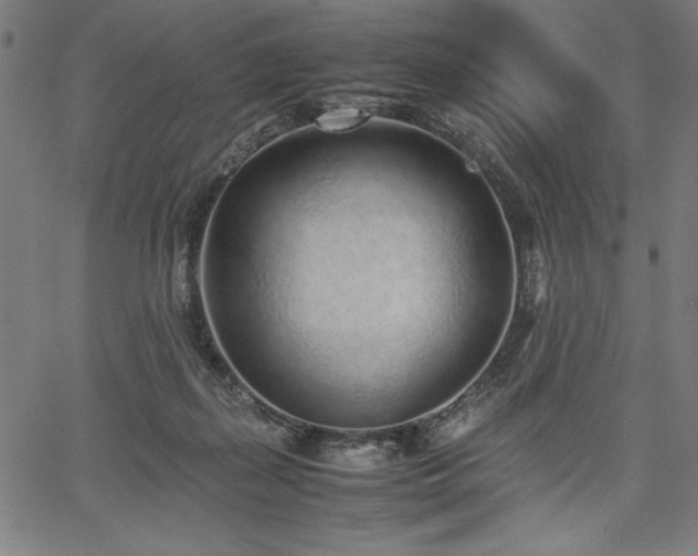 X0000067910267200604131351