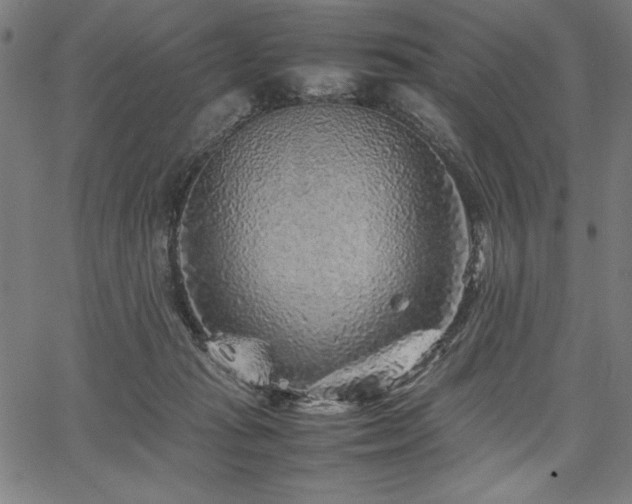 X0000067910269200604131351