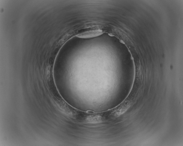 X0000067910271200604131351