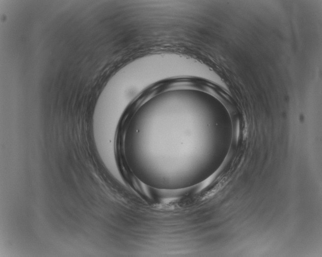 X0000067910272200604131351