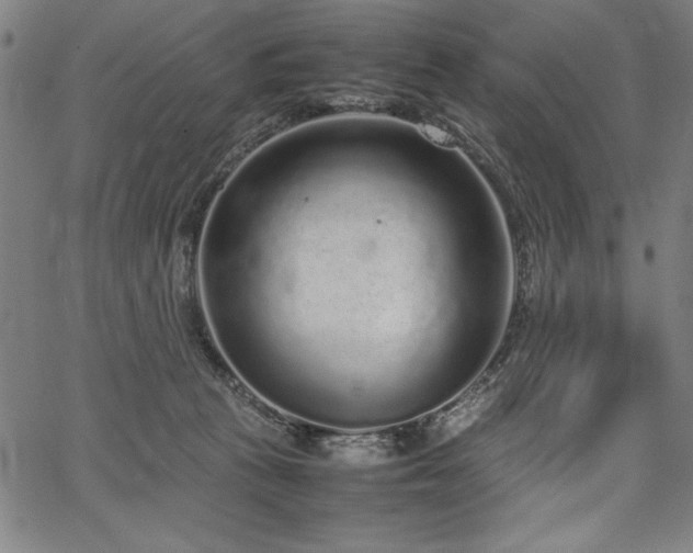 X0000067910273200604131351