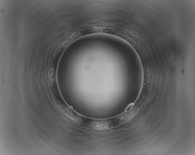 X0000067910275200604131351