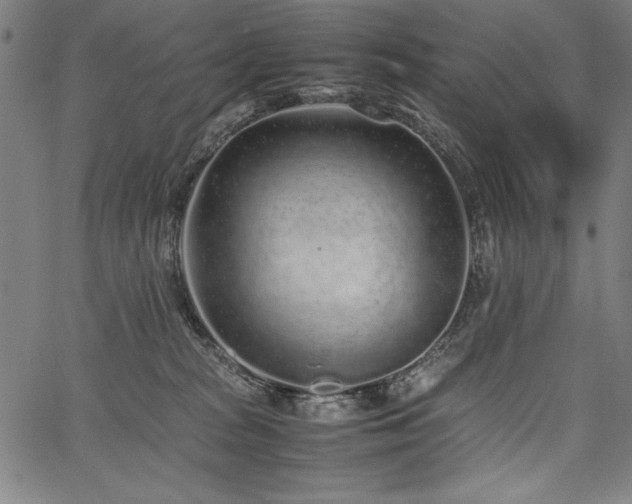 X0000067910277200604131351