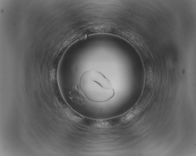 X0000067910278200604131351