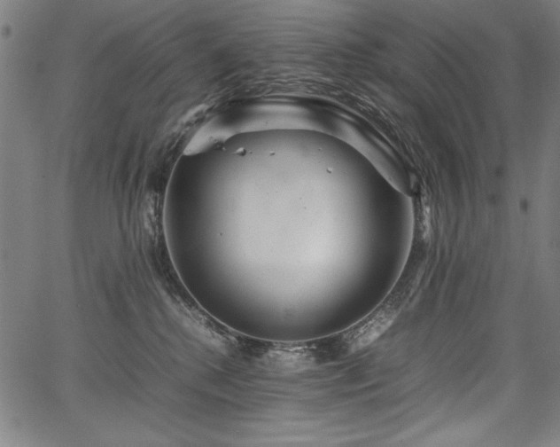 X0000067910280200604131351